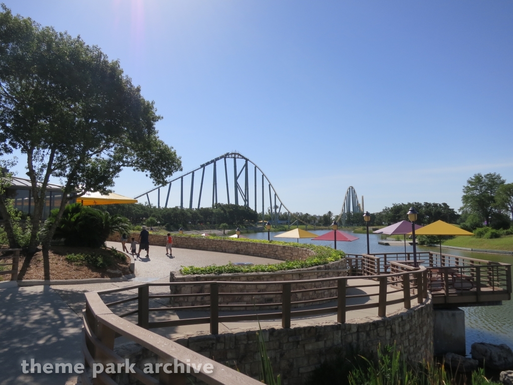 Steel Eel at SeaWorld San Antonio