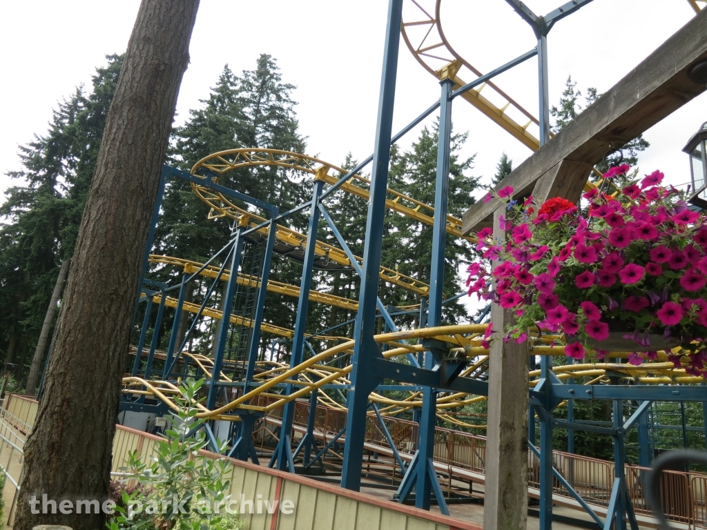 Klondike Gold Rusher at Wild Waves Theme Park