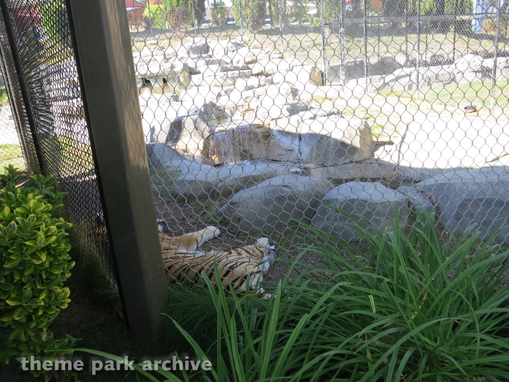 Tiger Island at Six Flags Discovery Kingdom