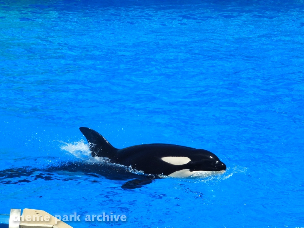 Shamu Stadium at SeaWorld San Diego