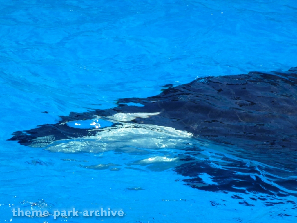 Shamu Stadium at SeaWorld San Diego