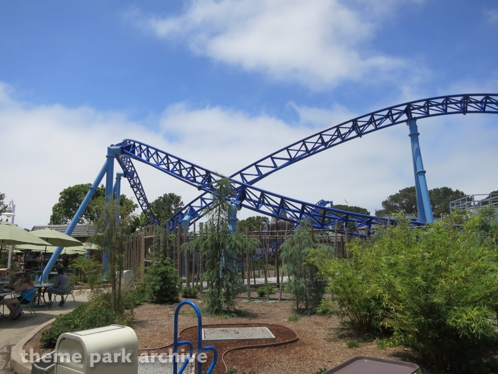 Manta at SeaWorld San Diego