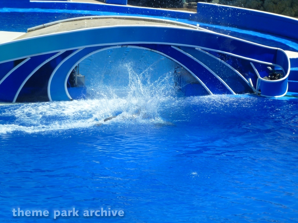 Blue Horizons at SeaWorld San Diego