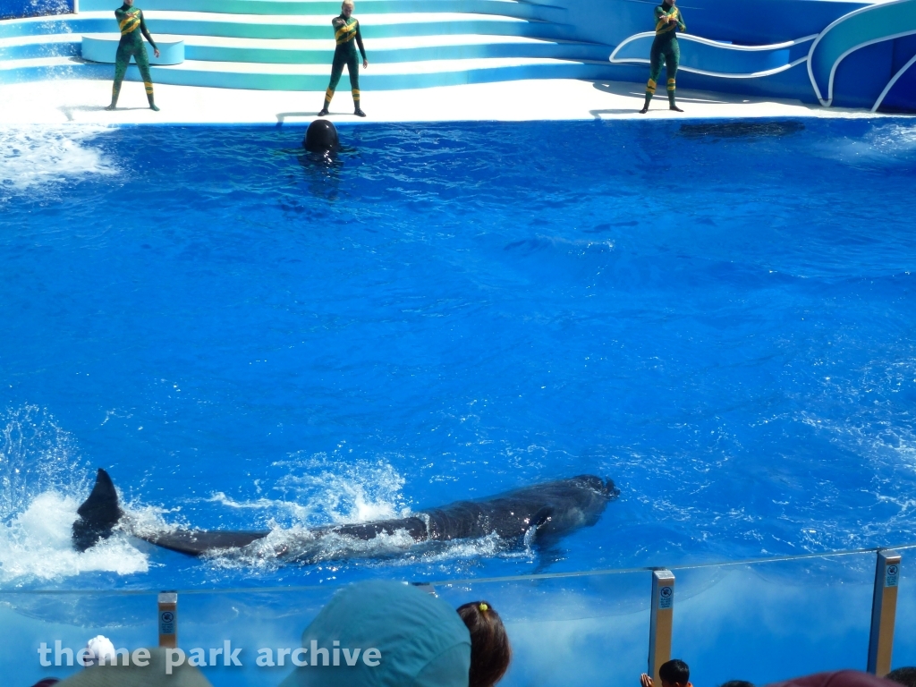 Blue Horizons at SeaWorld San Diego