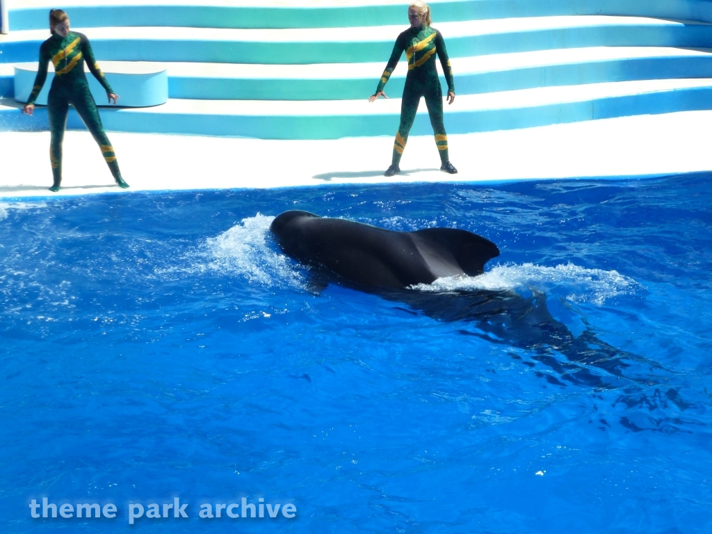 Blue Horizons at SeaWorld San Diego