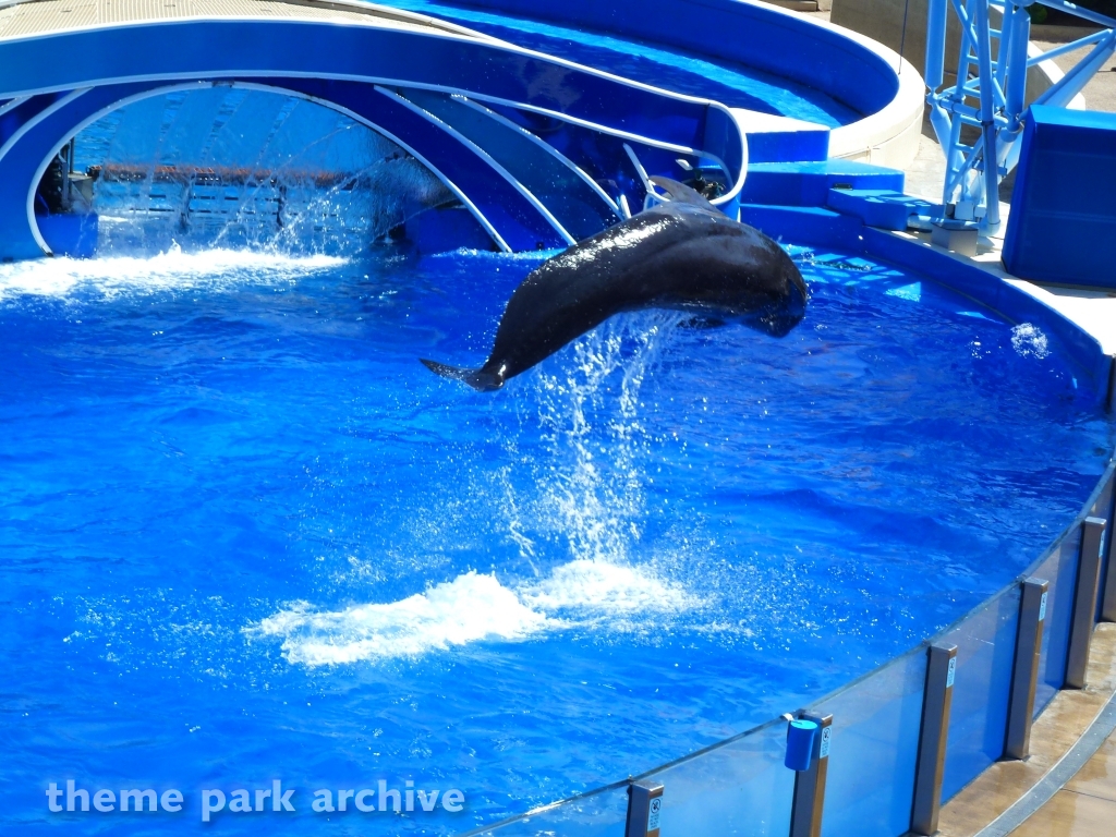 Blue Horizons at SeaWorld San Diego