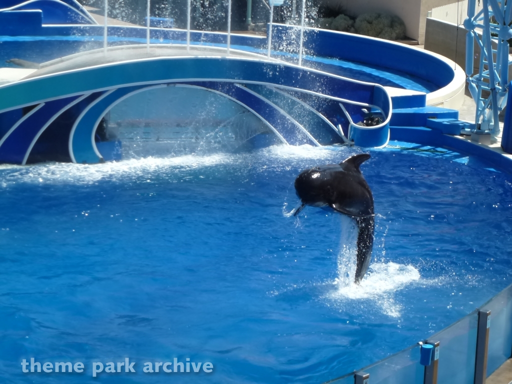 Blue Horizons at SeaWorld San Diego