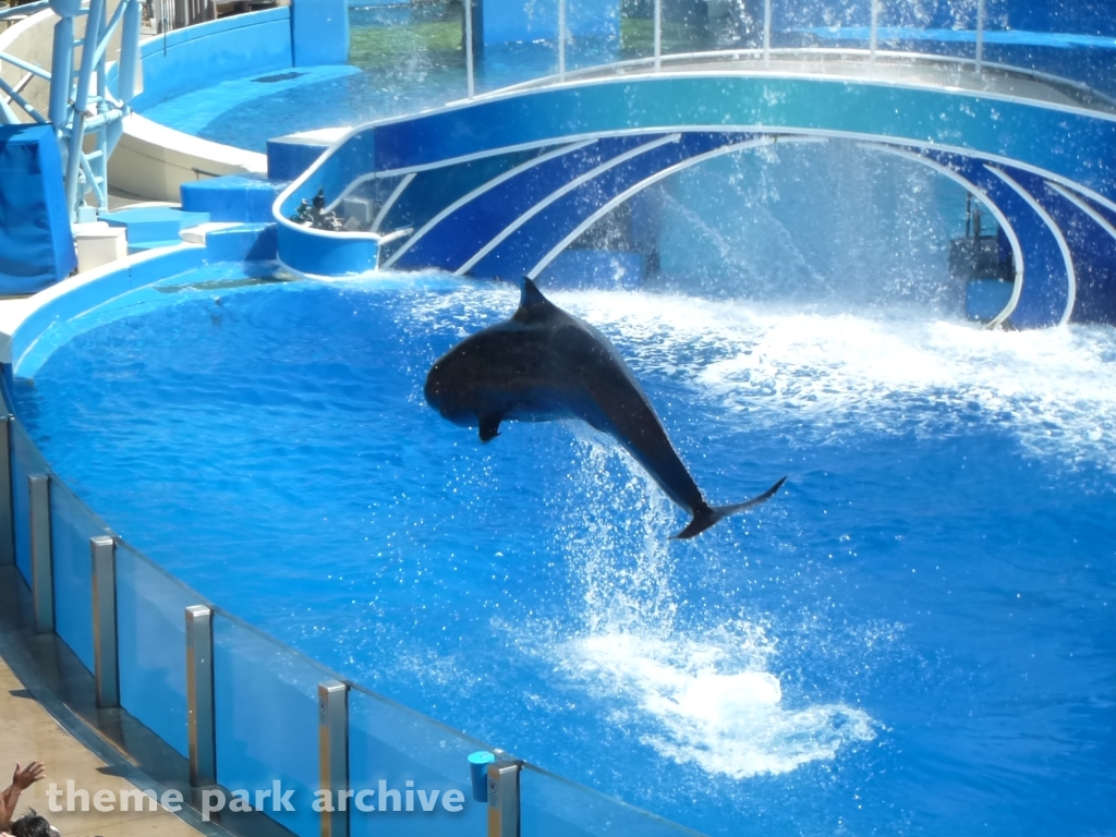 Blue Horizons at SeaWorld San Diego