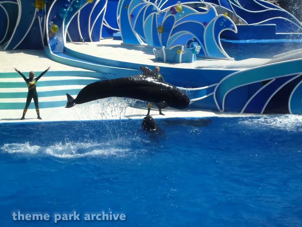 Blue Horizons at SeaWorld San Diego