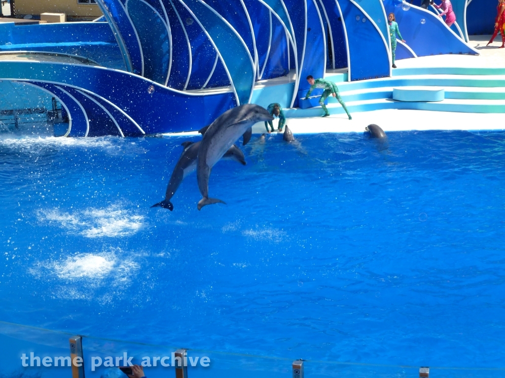 Blue Horizons at SeaWorld San Diego