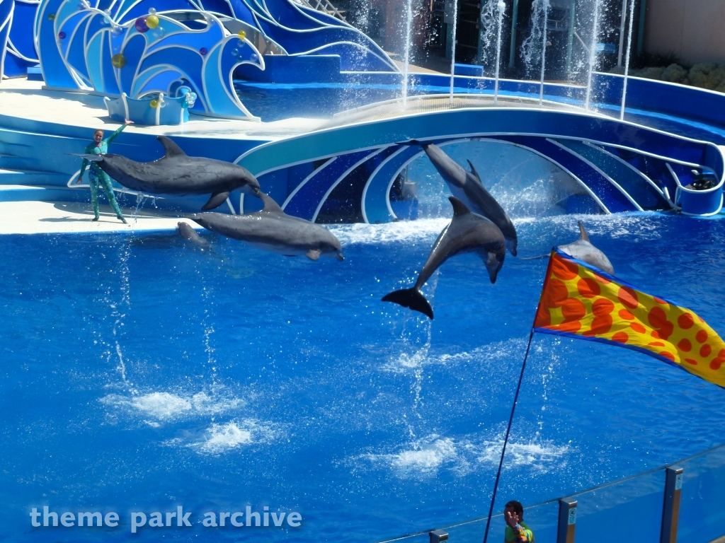 Blue Horizons at SeaWorld San Diego