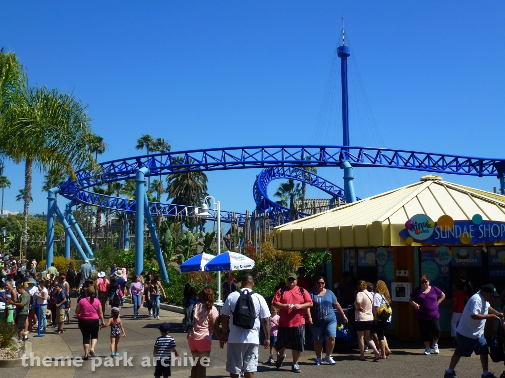 Manta at SeaWorld San Diego