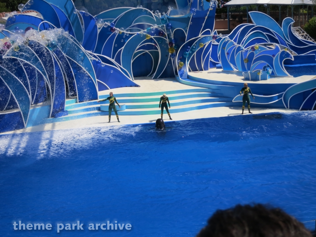 Blue Horizons at SeaWorld San Diego