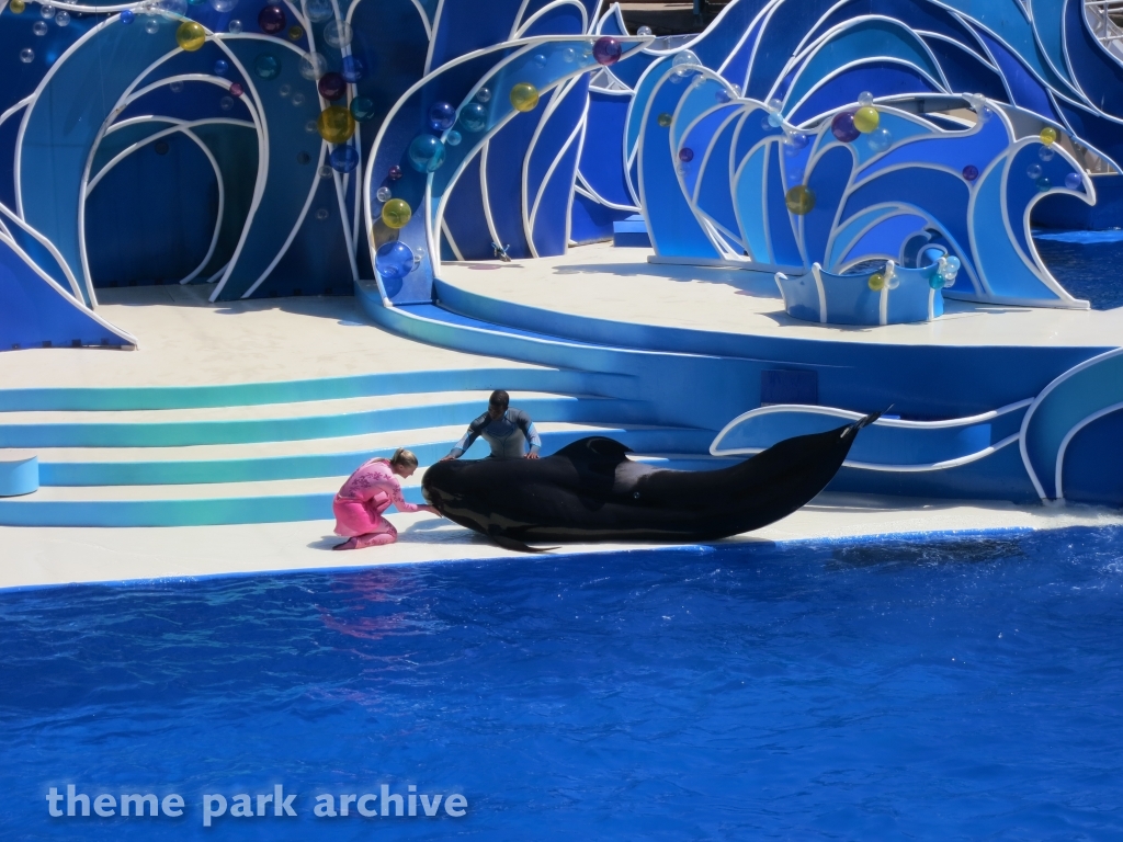 Blue Horizons at SeaWorld San Diego