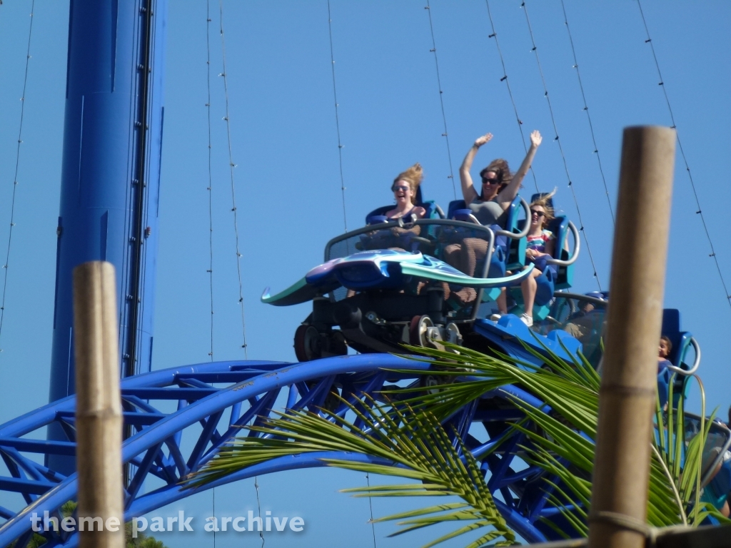 Manta at SeaWorld San Diego