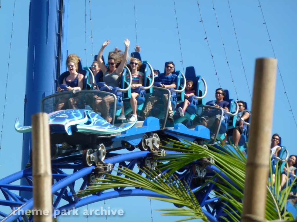 Manta at SeaWorld San Diego