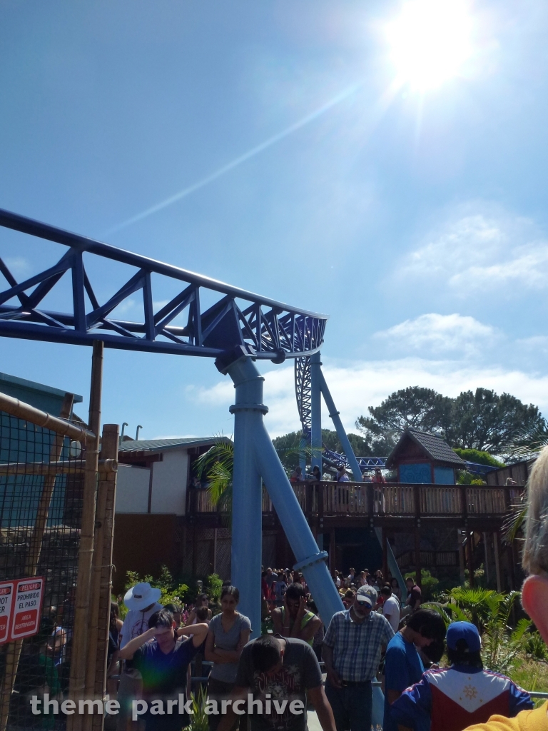 Manta at SeaWorld San Diego