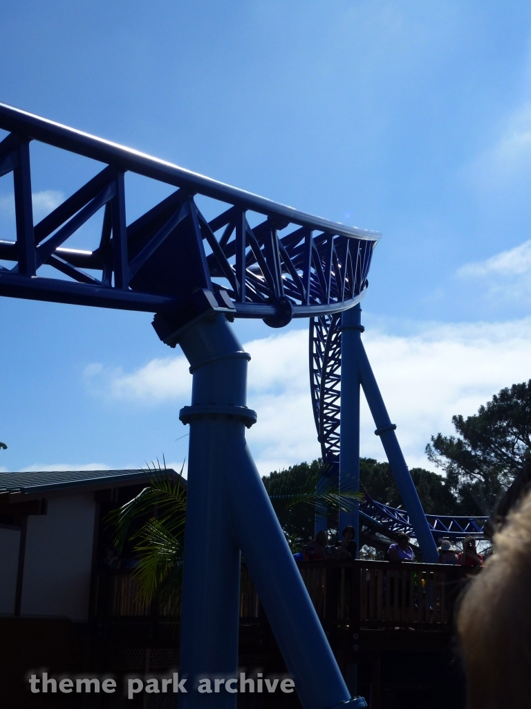 Manta at SeaWorld San Diego