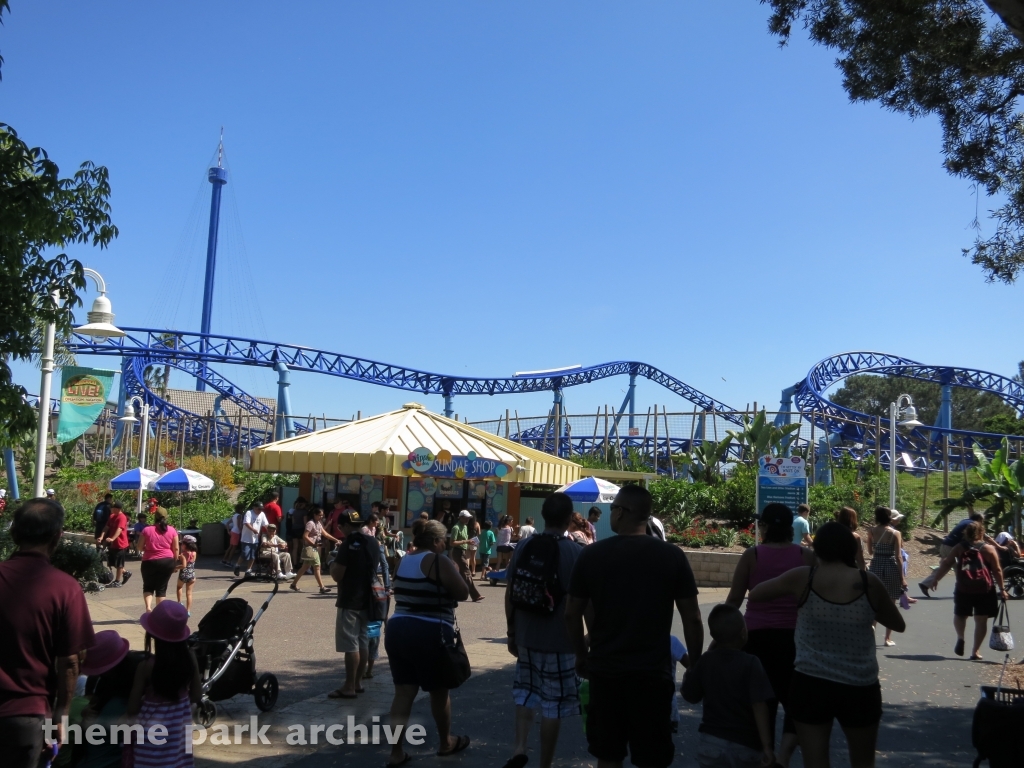 Manta at SeaWorld San Diego