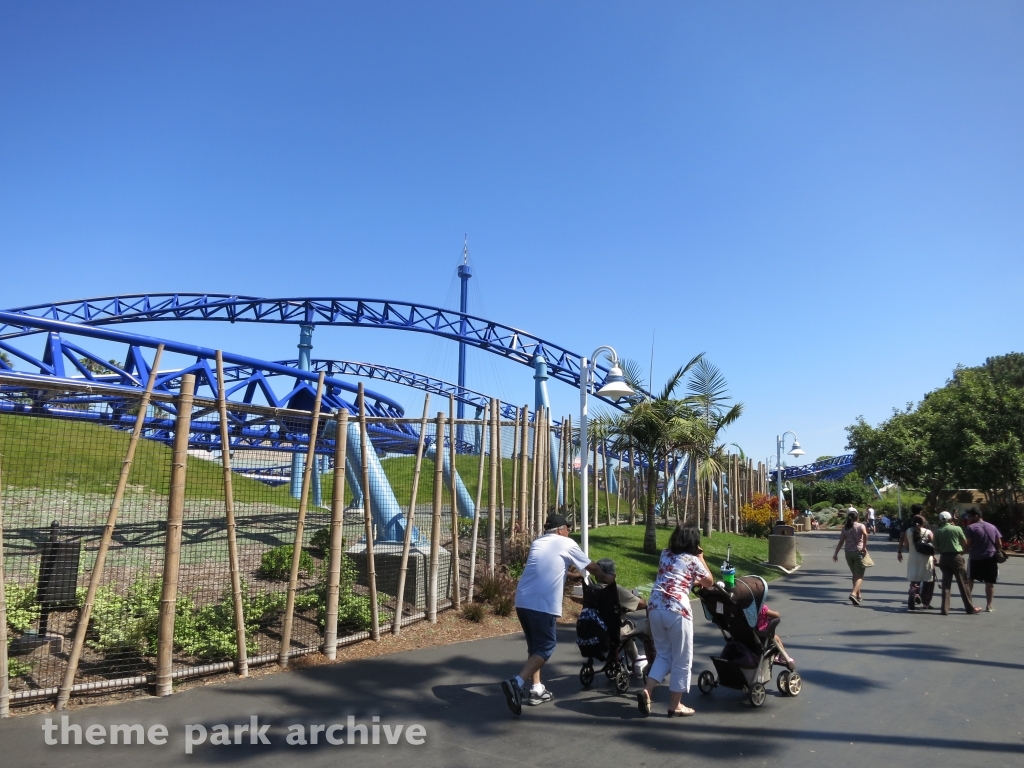 Manta at SeaWorld San Diego