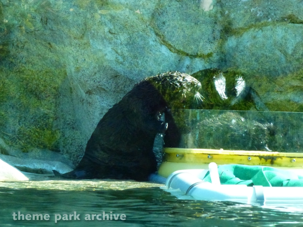 Pacific Point at SeaWorld San Diego