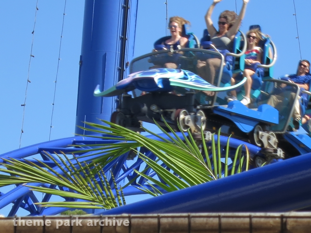 Manta at SeaWorld San Diego