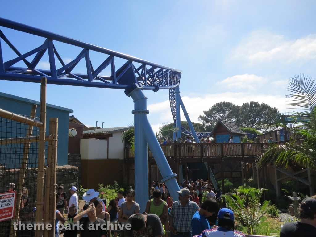 Manta at SeaWorld San Diego