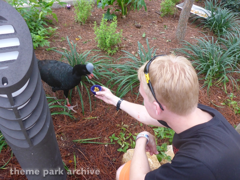 Roa's Aviary at SeaWorld San Antonio