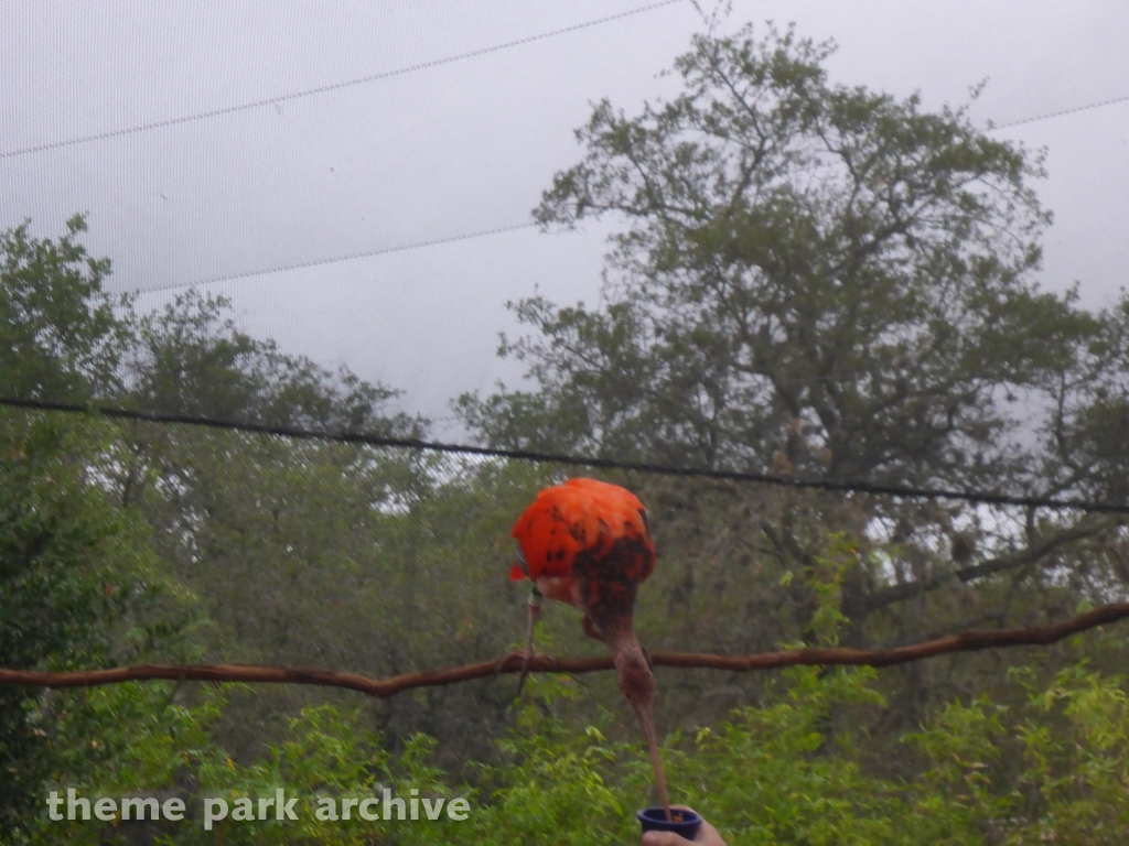 Roa's Aviary at SeaWorld San Antonio