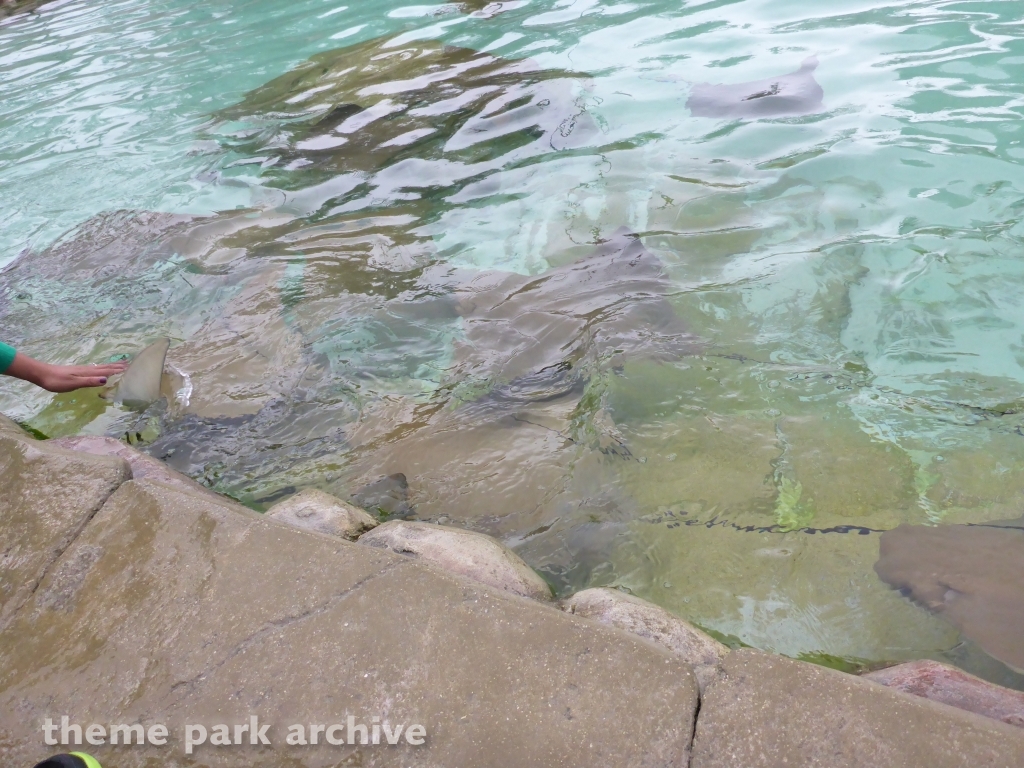 Aquatica at SeaWorld San Antonio