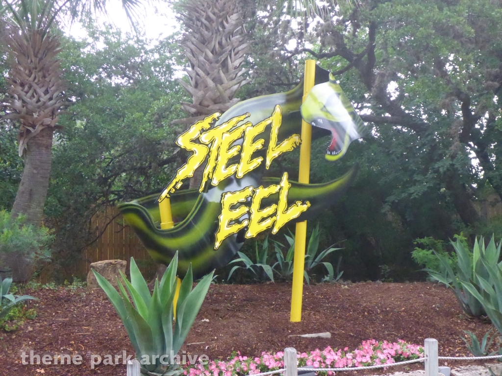 Steel Eel at SeaWorld San Antonio