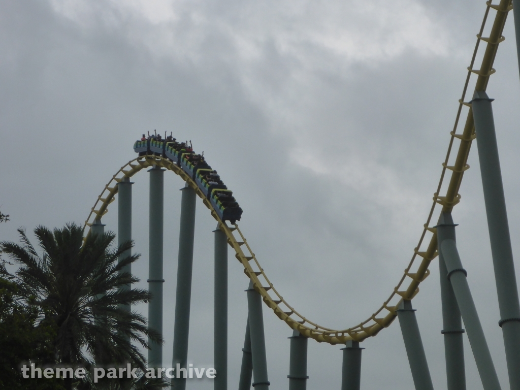 Steel Eel at SeaWorld San Antonio