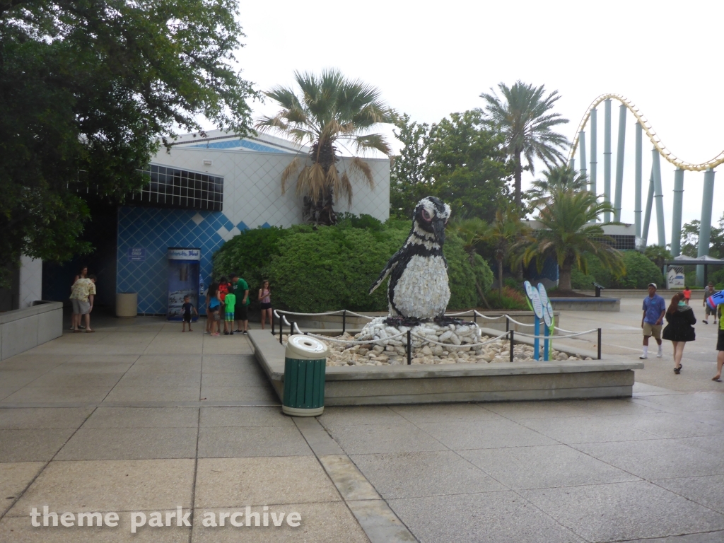 Penguin Encounter at SeaWorld San Antonio