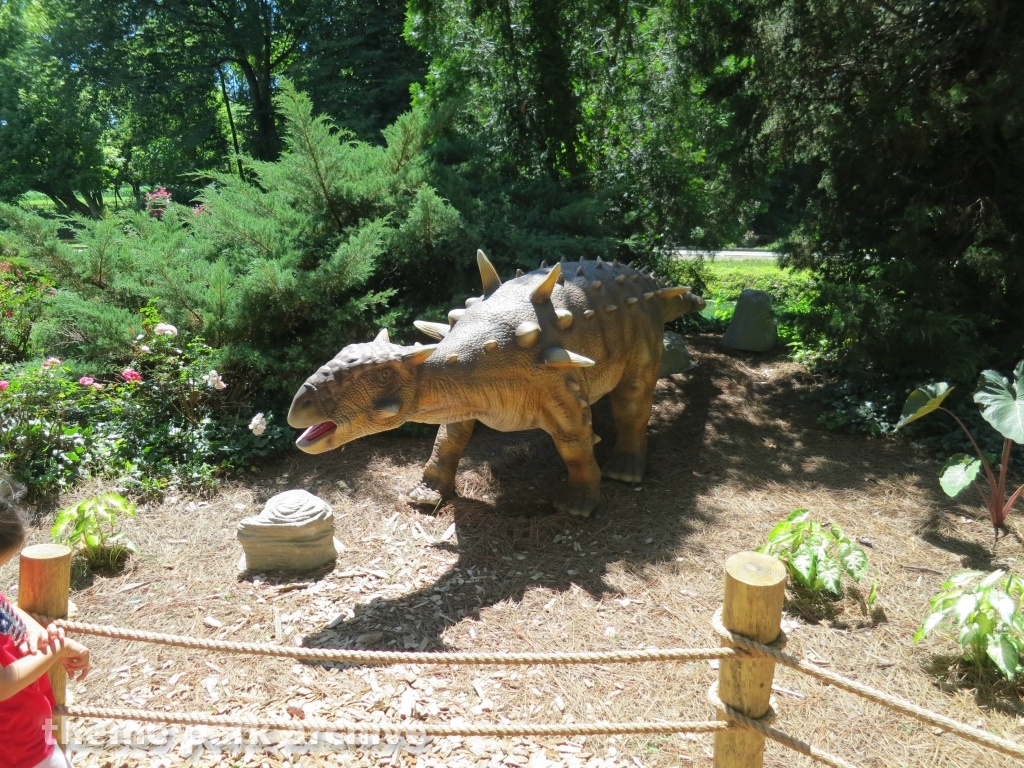 Exploration Island at Dutch Wonderland