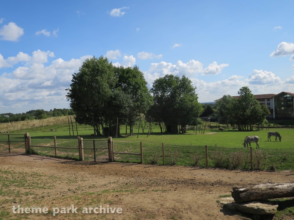 Amazu at Chessington World of Adventures Resort