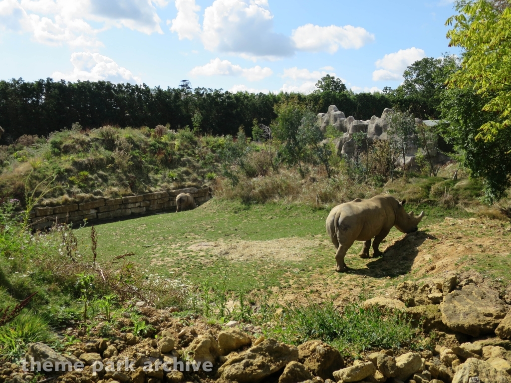 Zufari: Ride into Africa at Chessington World of Adventures Resort