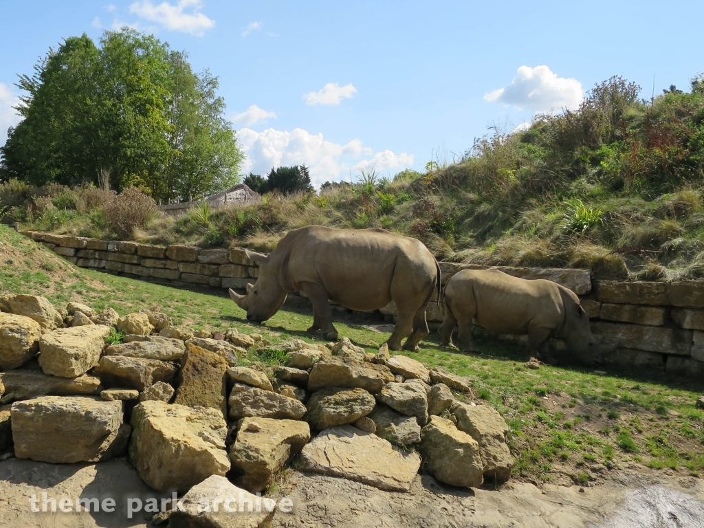 Zufari: Ride into Africa at Chessington World of Adventures Resort