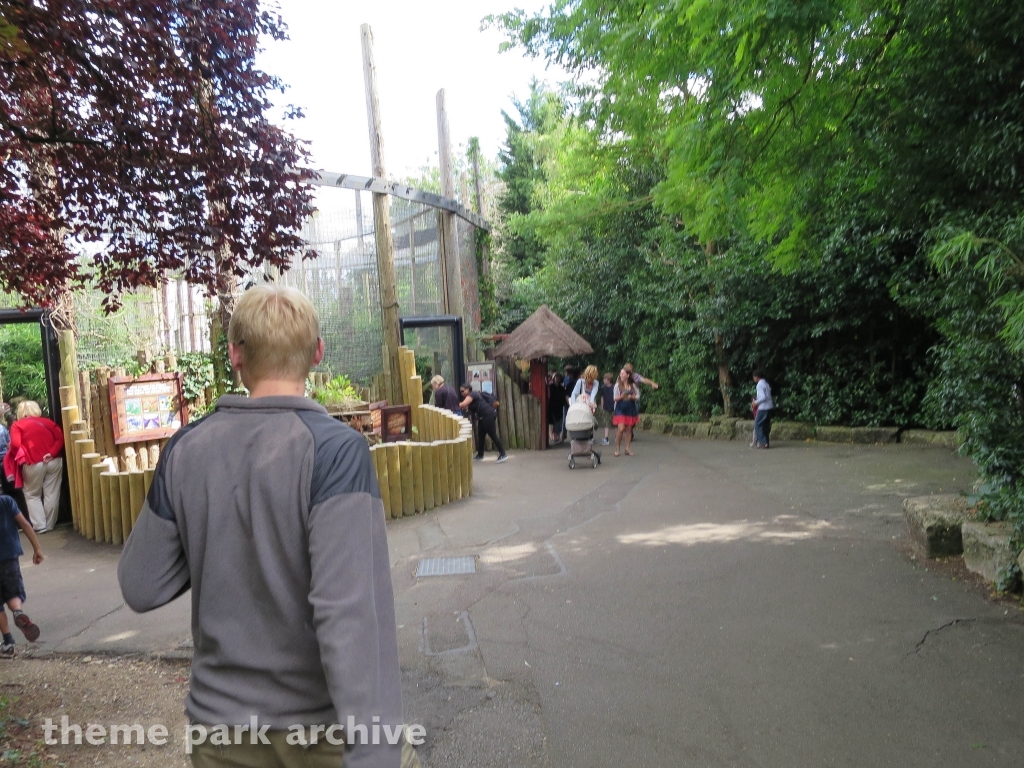 Chessington Zoo at Chessington World of Adventures Resort