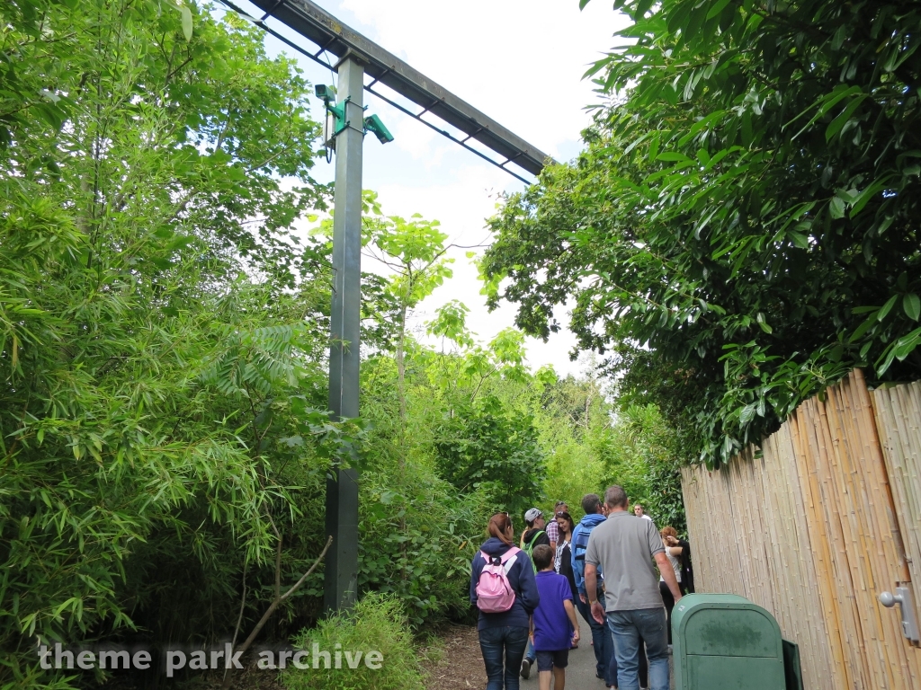 Chessington Zoo at Chessington World of Adventures Resort