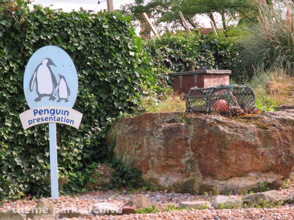 Penguin Cove at Chessington World of Adventures Resort