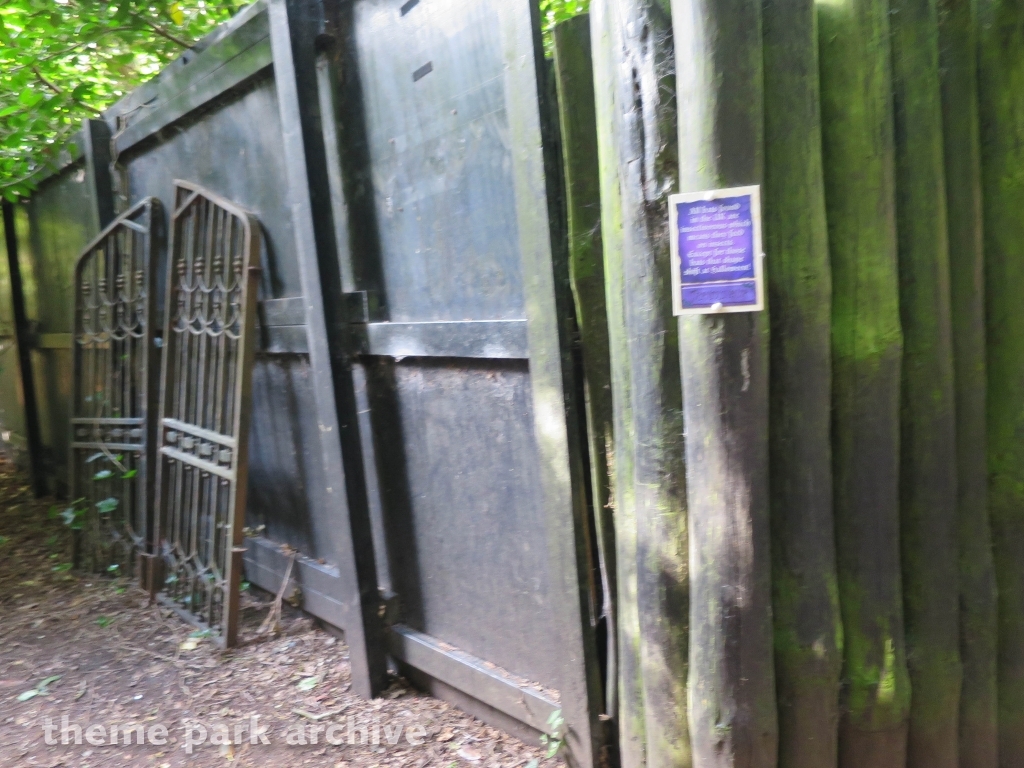 Vampire at Chessington World of Adventures Resort