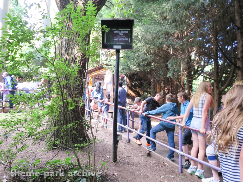 Vampire at Chessington World of Adventures Resort