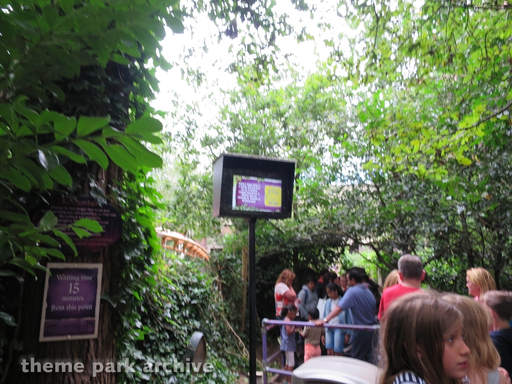 Vampire at Chessington World of Adventures Resort