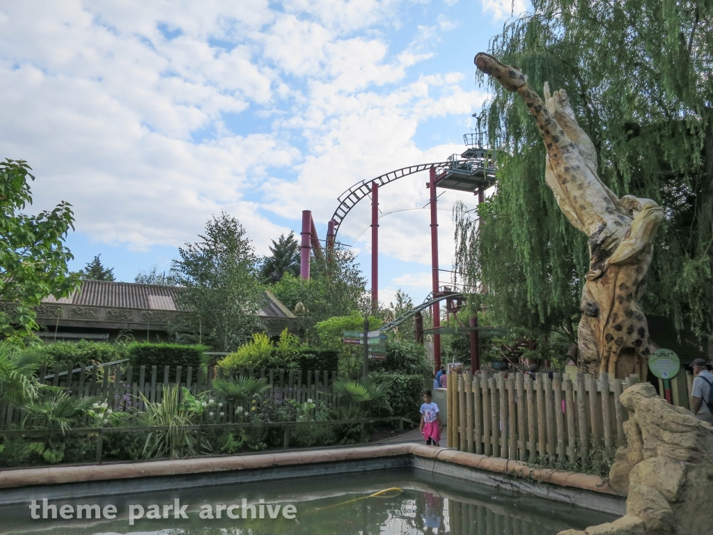 Dragon's Fury at Chessington World of Adventures Resort