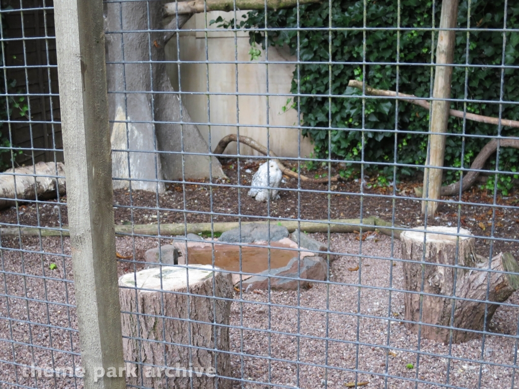 Zoo at Drayton Manor