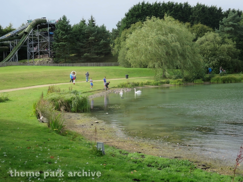 Misc at Lightwater Valley