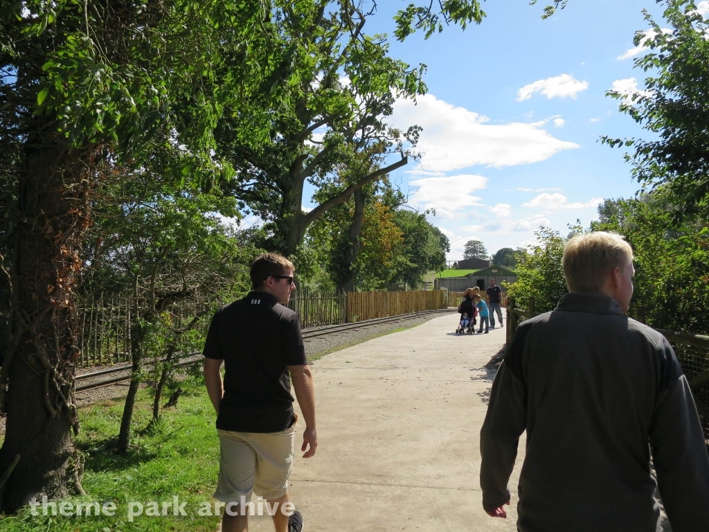 The Lost Kingdom at Flamingo Land