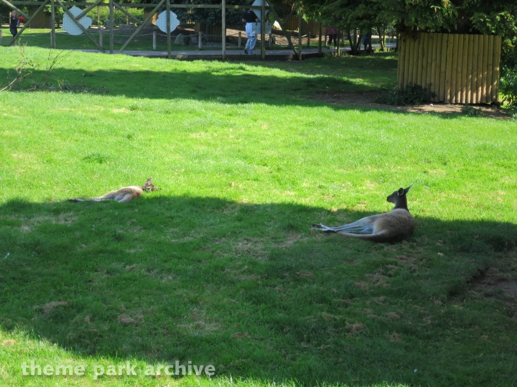 Zoo at Flamingo Land