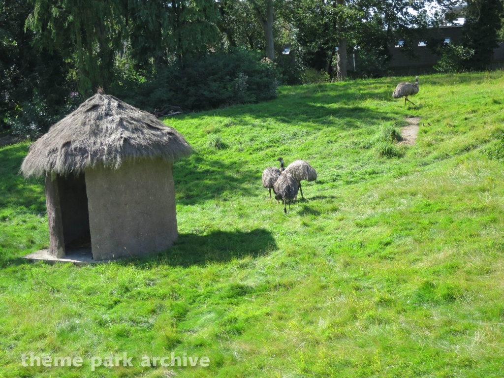 Zoo at Flamingo Land