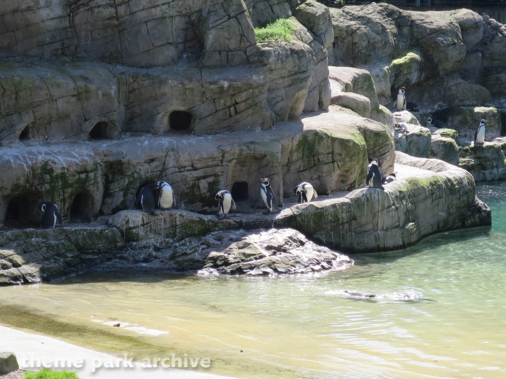 Zoo at Flamingo Land